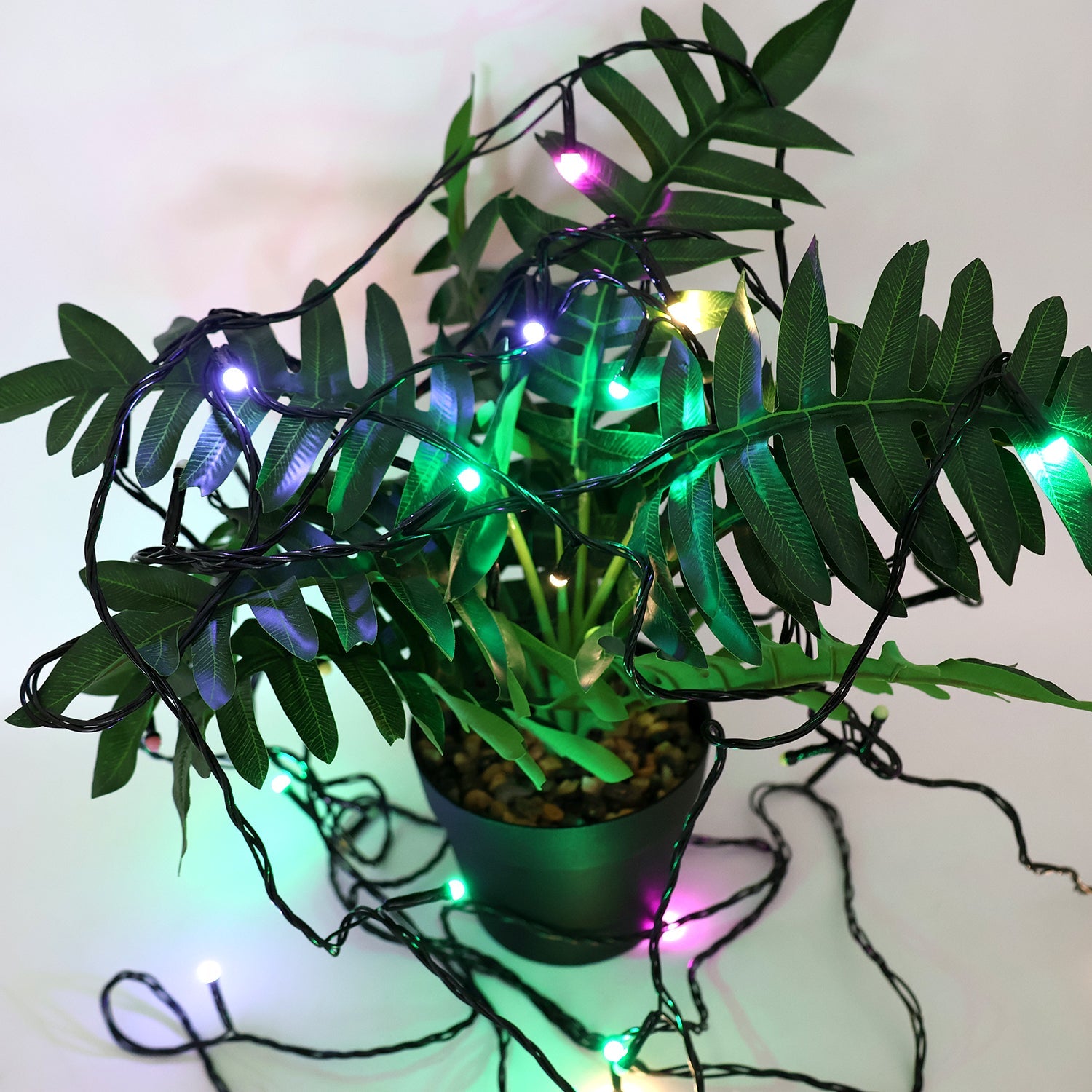 LED Decorative String Lights 9 Meter โ Multicolor Festival Glow