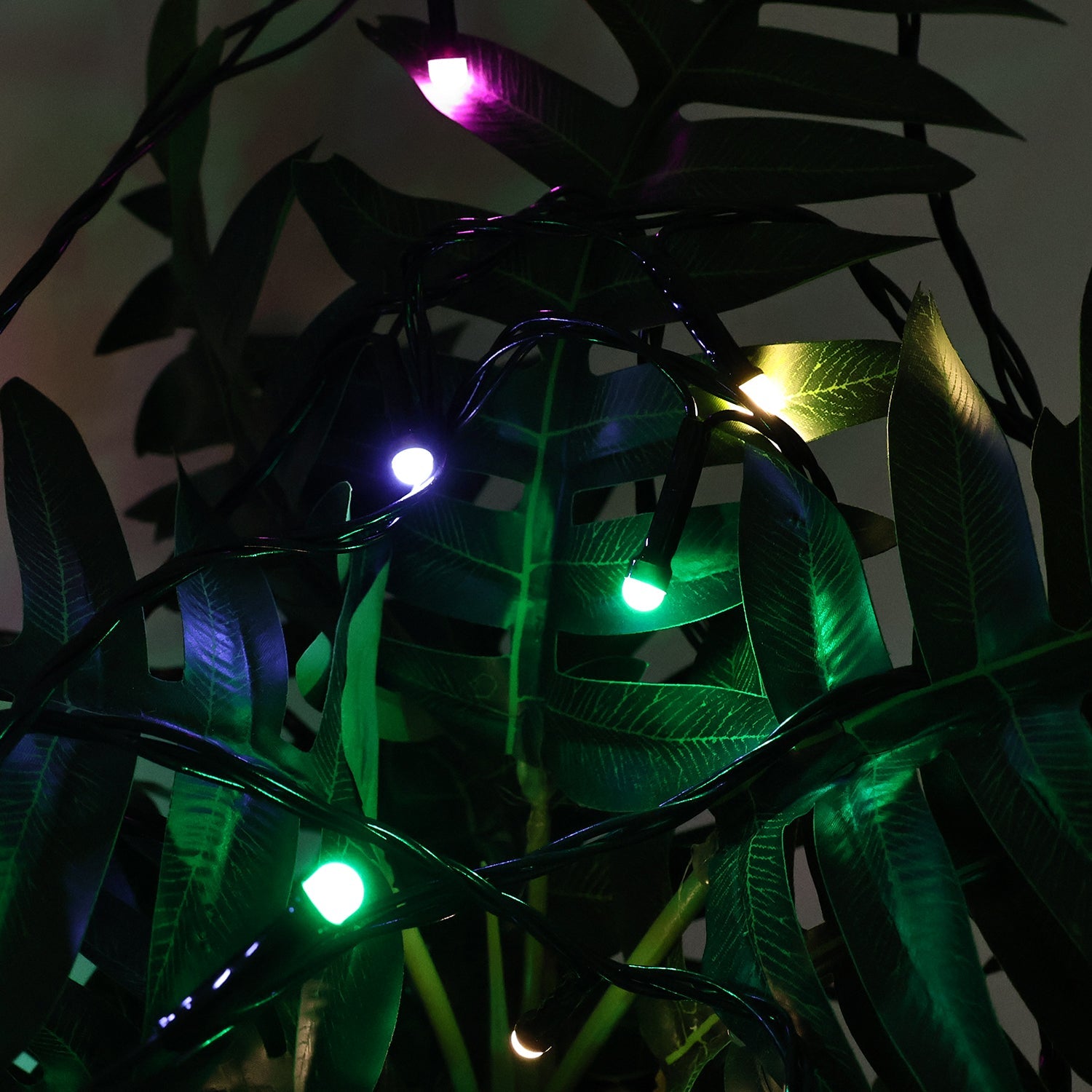 LED Decorative String Lights 9 Meter โ Multicolor Festival Glow
